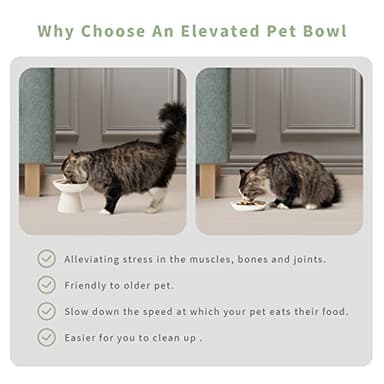 CEEFU 2 Elevated Ceramic Cat Bowls Extra Wide for Food & Water – Whisker Fatigue Shallow Food Dish, Lead & Cadmium-Free, Raised Height for Cats and Dogs, Two Different Depth Bowls, White - Image 5