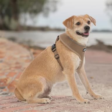Best Pet Supplies Voyager Mesh Dog Breathable Harness Reflective Stitching, All Weather Adjustable for Walking Training, or Running - Heavy Duty & Durable, 220 Style (Beige), XS - Image 6