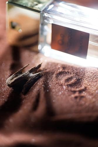 Alyssa Ashley Oud Patchouli - Perfume for Women with Rose, Saffron and Vetiver - Women's Perfume - Elegant Perfumes for Women - 3.4 oz EDP Spray - Image 4