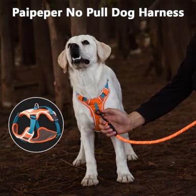 Paipeper No Pull Dog Harness,Adjustable Lightweight Small Medium Dog Vest Harness with Reflective Strip,Pet Harness with Easy Control Handle,Stops Pets from Pulling and Choking(Rose-m) - Image 2