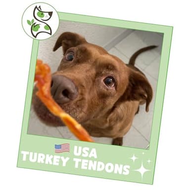 Nature Gnaws USA Turkey Tendons for Dogs (4oz) - Delicious Grain Free Reward Snack for Small, Medium & Large Breeds - Premium Natural Dog Chew Treats - Image 6