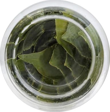 Spice Islands Whole Bay Leaf, 0.14 Oz - Image 10