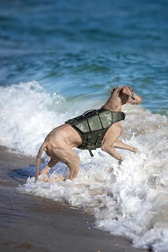 NOAH & PAW Dog Life Jacket, Human Standards Lifejacket Design, Dog Life Vest for Swimming and Boating, 3X Foam Support for Max Floating, Breathable Mesh, Salvavidas para Perros, Size XL - Image 8