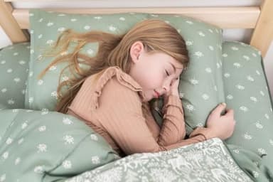 Beddy's Fantasy Woodland Girls Durable Zipper Bedding for Kids, Bed in a Bag, Green Sheets & Comforter with Animal & Woods Design, Includes Pillowcase & Pillow Sham Easy to Make & Wash - Image 8