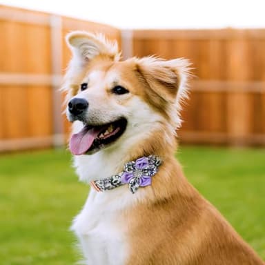 TDTOK Girl Dog Collar for Small Medium Large Dogs, Cute Dog Collar with Detachable Flower Safety Metal Buckle Adjustable Floral Pattern Soft Comfy Cotton Dog Collars Fit Necks 10.2-23.6’’ (Blossom, M) - Image 2