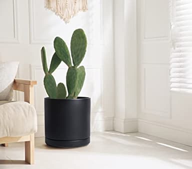 D'vine Dev 12 Inch Ceramic Planter Pot with Drainage Hole and Saucer, Indoor Cylinder Round Planter Pot, Black, 94-O-F-2 - Image 7