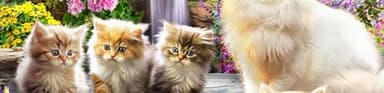 Ceaco - A Purrfect Day - 500 Piece Jigsaw Puzzle - Image 9