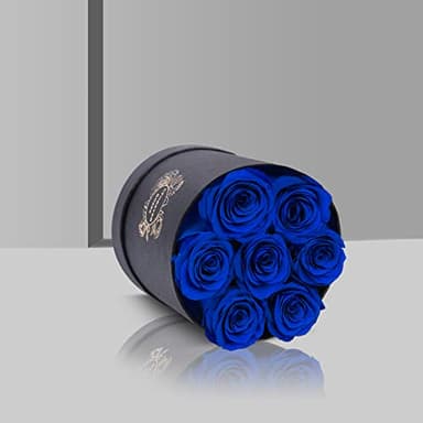 7-Piece Preserved Roses in a Box, Preserved Flowers Gifts for Women, Mothers Day Flowers (Royal Blue) - Image 2