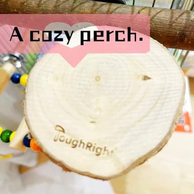 Natural Wood Bird Perch Playground for Outside the Cage Wall, Bird Platform and Play Area for Small to Medium Parrots like Cockatiels, Conures, Parrotlets, Lovebirds, and Budgies, Bird Cage Accessory - Image 4