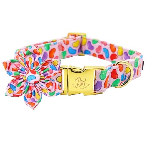 Elegant Little Tail Easter Day Dog Collar with Flower, Colorful Candy Pink Adjustable Collar for Small Dogs - Image 1