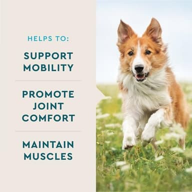 VetIQ Advanced Hip & Joint Chews For Dogs, 60 Count, Chicken Flavored Supplements Made with Glucosamine, Omega 3’s, Chondroitin, MSM & Green Lipped Mussel, Increases Mobility & Maintains Muscles - Image 3