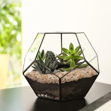 Pulovin 2.5 lbs Coarse Silica Sand for Indoor Plants, 1/5 Inch Natural Decorative Gravel for Vases, Aquariums, Terrarium, Fish Tank, Drainage Rocks for Potted Plants, Bamboo, Succulent, Crafts, Cactus - Image 6