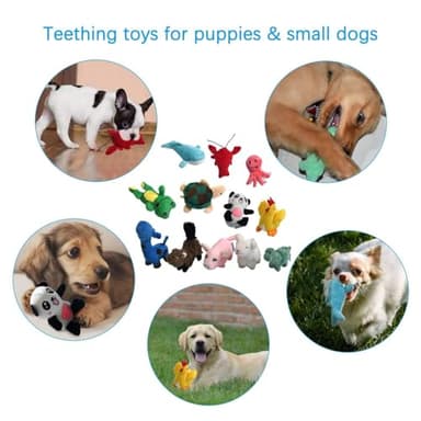 LEGEND SANDY Squeaky Plush Dog Toy Pack for Puppy, Small Stuffed Puppy Chew Toys 12 Dog Toys Bulk with Squeakers, Cute Soft Pet Toy for Small Medium Size Dogs - Image 5