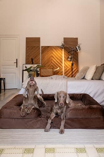 NOAH & PAW Giant Dog Bed XXL, 55x45x11 Inch, Orthopedic Dog Beds, Eggshell Memory Foam Infused with Cooling Gel, Inner Cover, Waterproof, Machine Washable (Velvet Sofa Collection) - Image 2