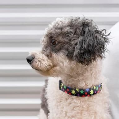 QQPETS Adjustable Soft Dog Collar: Print Flower Pink Multicolor Cute Patterns for XS Small Medium Large Pet Girl Boy Puppy Walking Running Training - Image 6