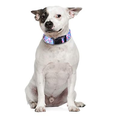 2 Pack Dog Collar Floral Adjustable Nylon Pet Collars for Small Medium Large Dogs Puppy - Image 5