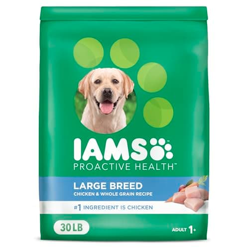 IAMS Proactive Health Large Breed Adult Dry Dog Food with Real Chicken, 30 lb. Bag - Image 1