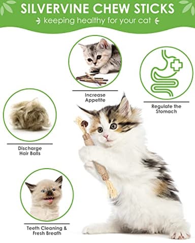 TINDTOP Catnip Chew Toys for Cats, 12 Pack Natural Silvervine Sticks for Kittens Teeth Cleaning, Matatabi Dental Care, Increase Appetite, Calm Cat Anxiety and Stress, Aggressive Chewers Cat Dental Toy - Image 3