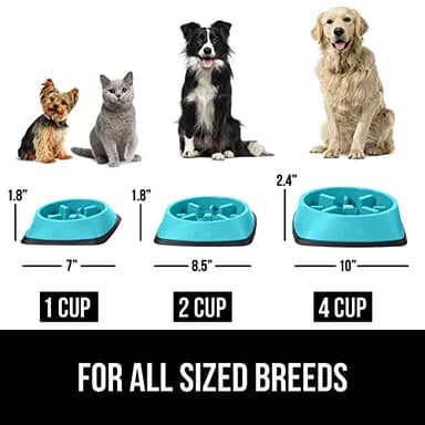 Gorilla Grip Slip Resistant Slow Feeder Dog Bowl,4 Cups,Slows Down Pets Eating,Prevents Overeating,Feed Small&Large Breed Puppy,Puzzle Design,Dogs Pet Bowls for Dry&Wet Food,Turquoise,4 Cup. - Image 6