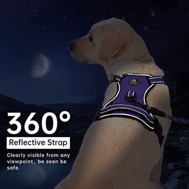 IVY&LANE No Pull Dog Harness for Large Dogs, Dog Vest Harness with Leash, Safety Belt and Storage Strap, Fully Adjustable Harness, 360° Reflective Strip, Soft Handle (Purple, L) - Image 6