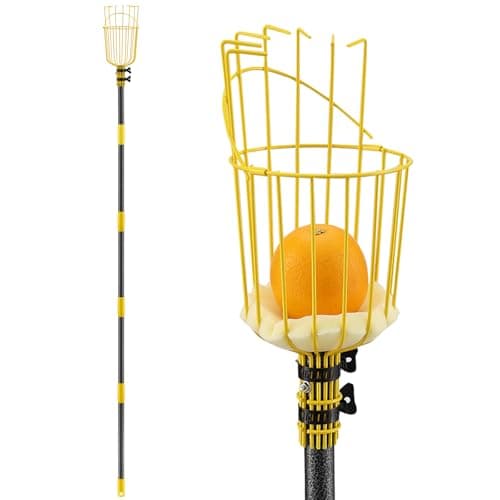 Extendable Fruit Picker with Basket - 5ft Telescopic Pole for Picking High Fruit Trees - Image 1