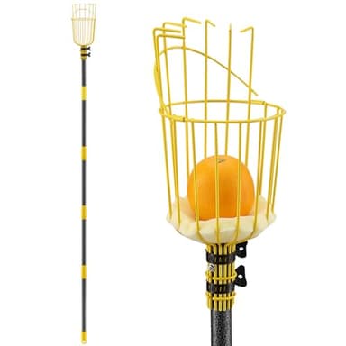 Extendable Fruit Picker with Basket - 5ft Telescopic Pole for Picking High Fruit Trees - Image 1
