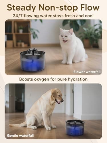 Automatic Cat Feeder and Water Fountain, 4L/16 Cups Timed Cat Dry Food Dispenser, 10s Meal Call, 20 Portions 6 Meals Per Day, 2L Cats Fountains for Drinking with Filter, Pet Feeder for Dog Black - Image 5
