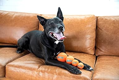 Outward Hound Squeaker Ballz 4-Pack Tennis Ball Dog Toys with Squeaker, Interactive Fetch Play for Pets Under 50 lbs, Training Balls for Indoor & Outdoor Exercise, Medium, 2.5-inch - Image 2