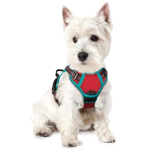 rabbitgoo Dog Harness No Pull with 2 Leash Clips, Adjustable Soft Padded, Reflective Oxford No Choke Pet Vest with Easy Control Handle for Puppy, Red & Teal, XS - Image 1