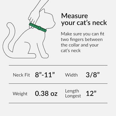CollarDirect Leather Cat Collar with Bell - Kitten Collar, Small and Big Cat Collar for Boy Cats, Girl Cats with Safety Elastic Strap (Neck Fit 8"-11", Mint Green) - Image 4