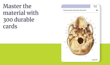 Anatomy Flashcards: 300 Flashcards with Anatomically Precise Drawings and Exhaustive Descriptions - Image 3