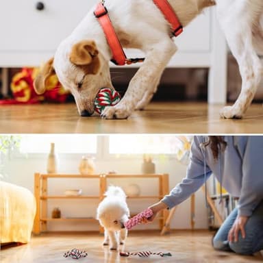 SCENEREAL 15 Pack Dog Toys for Small Dogs Puppies, Christmas Small Dog Toys for Teething and Chewing, Interactive Dog Chew Toys Rope Toy to Keep Them Busy, Holiday Xmas Gift - Image 4