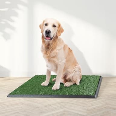 Artificial Grass Puppy Pee Pad for Dogs and Small Pets - 20x30 Reusable 4-Layer Training Potty Pad with Tray - Dog House and Pet Supplies by PETMAKER - Image 2