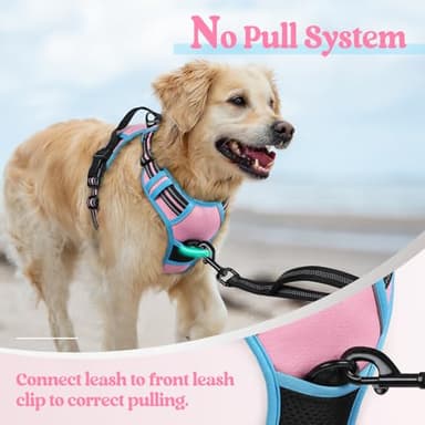 rabbitgoo Dog Harness No Pull with 2 Leash Clips, Adjustable Soft Padded, Reflective Oxford No Choke Pet Vest with Easy Control Handle for Medium Sized Dogs, Pink & Blue, M - Image 5