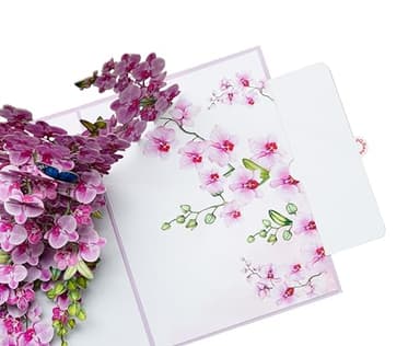 PQ Bees Orchid 3D Birthday Cards for Women, Mothers Day Cards, 6x8in Pop Up Gift Card for Mom, Wife, Her, Daughter, Sister, Grandma (Orchid Blossom 6x8). - Image 6