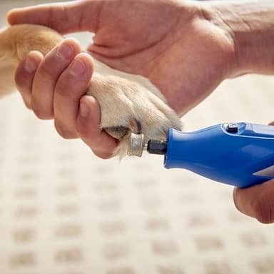 Dremel 416HP Diamond-Coated Rotary Nail Grinder Bit - Ideal for Dog Nail Grooming, Gentle with Precise Control - Image 6