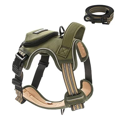 No Pull Dog Harness for Small Dogs, Adjustable No Choke Pet Vest with Dog Leash Fit Smart Reflective Pet Walking Harness for Training Easy Control Soft Handle Green S - Image 1