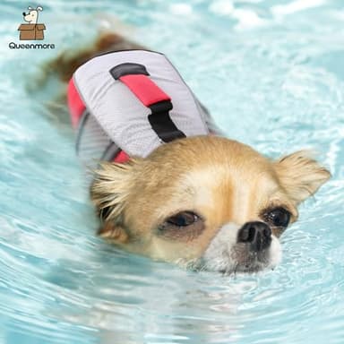 Queenmore Dog Life Jacket Swimming Vest Small Medium Dogs Neoprene Life Vest Lightweight Reflective Dog Lifesaver for Boating Kayaking Red,XS - Image 5