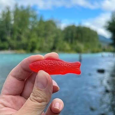 SWEDISH FISH Soft & Chewy Candy, 12-8 oz Bags - Image 9