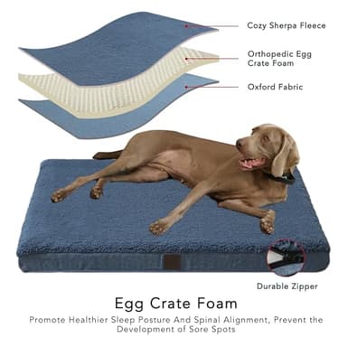 DaysU Large Dog Bed for Large Dogs, Orthopedic Dog Beds with Removable Washable Cover, Egg Crate Foam Pet Bed Mat, Light Navy, Suitable for Dogs Up to 65 Ibs, 36x27x3in - Image 3