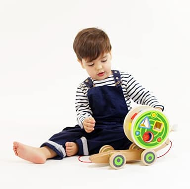 Hape Walk-A-Long Snail Pull Toy |Award Winning Toddler Wooden Push and Pull Toy with Removable Color - Image 2