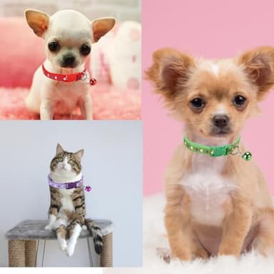 Small Dog Collar with Bell,Soft Nylon Identification Yellow Cat Collar Girl Puppy Collar with Bells Adjustable Buckle for XXS Xs Tiny Little Pet Female Dogs,Neck 7.5-12.5 Inch - Image 2