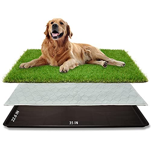 Dog Grass Large Potty Patch, Dog Litter Boxes Artificial Grass Bathroom Turf for Pet Training, Washable Puppy Pee Pad, Perfect Indoor/Outdoor Portable Potty Pet Loo (Tray system-35"X22.6") - Image 1
