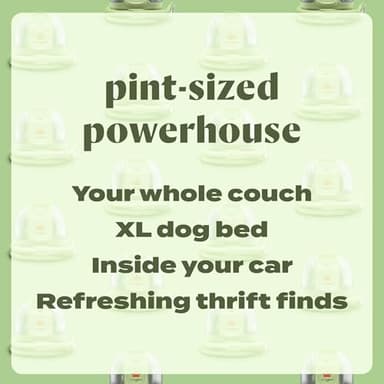 BISSELL Little Green Mini Portable Carpet and Upholstery Deep Cleaner, Car/Auto Detailer, with HydroRinse Self-Cleaning Tool and 4" Tough Stain Tool, Tea Green, 4075 - Image 5