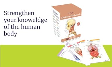 Anatomy Flashcards: 300 Flashcards with Anatomically Precise Drawings and Exhaustive Descriptions - Image 2