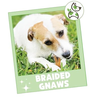 Nature Gnaws Braided Gnaws for Dogs 5-6" (3 Count) - Long Lasting for Small and Medium Dogs - Natural Beef Bully Stick Combo Braids - Rawhide Free - Image 7