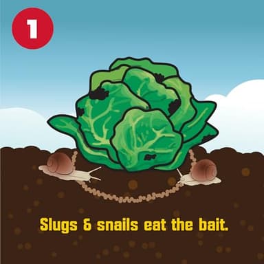 Corry's 100537446 Slug & Snail Killer, 3.5 lb, Brown/A - Image 2