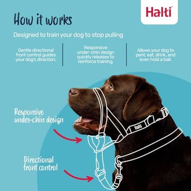 HALTI Headcollar - to Stop Your Dog Pulling on The Leash. Adjustable, Reflective and Lightweight, with Padded Nose Band. Dog Training Anti-Pull Collar for Medium Dogs (Size 2, Deep Walnut) - Image 2