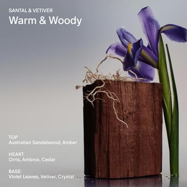 SALT & STONE Aluminum Free Deodorant | Extra Strength 48 Hour Protection for Women & Men | Made with Seaweed Extracts, Shea Butter & Prebiotics (Santal & Vetiver) - Image 3