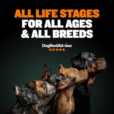 Bully Max High Performance Premium Dry Dog Food for All Ages - High Protein Natural Puppy Food for Small & Large Breed Puppies & Adult Dogs, 15 lb Bag - Image 2